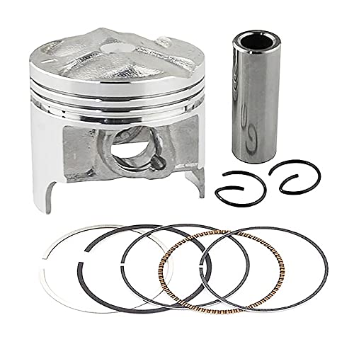 りんご様取り置き Amazon.co.jp: 1/4 セットオートバイ 49 ミリメートル〜 49.5