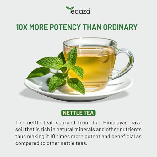 Image of Teaaza Organic Nettle Leaf Tea | Nettle Tea Leaves, 250 Grams, 200+ Cups | Sourced from Himalayas | For Kidney Detox, Raising Hemoglobin & Joint Health, Budget Pack