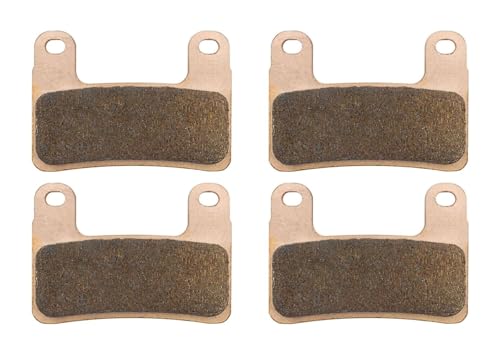 Motorrad Bremsbeläge Vorne Für BMW S1000R S1000RR M Für Sport S1000XR R1250GS Bremse Zubehör Motorrad Vorne Pads(2 Pairs Front)