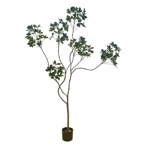 [LJKI] tFCNO[ VFt ^ A lH CeAO[    rO Xܗp { AȐlHϗtA sv Q̐SzȂ 160cm ItBX  O oRj[ Ƃ̒ɒu