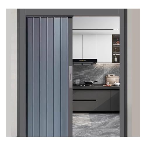 Puerta de acordeón de metal, multipliegue, interior de aleación de aluminio, puerta de acordeón interior, puerta corrediza plegable, con cerradura y riel deslizante (165 x 65 cm)