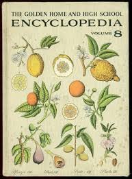 Hardcover The Golden Home and High School Encyclopedia Volume 8 Book