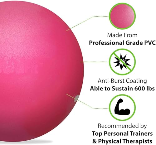 Image of Mini Exercise Ball 9inch /23cm Small Yoga Ball Soft Pilate Home Training Abdominal Workouts, Anti Burst and Slip, with Inflatable Straw for Therapy, Barre, Core Trainings