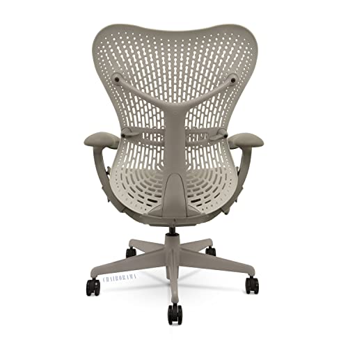 Herman Miller Embody Logitech chair