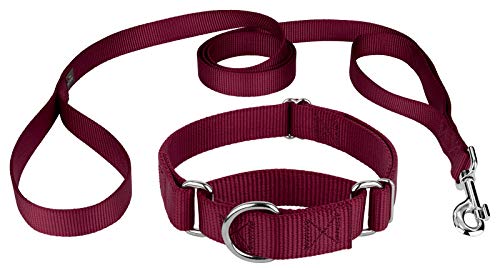 Country Brook Design - Martingale Heavyduty Nylon Dog Collar and Double Handle Leash - Burgundy - Large