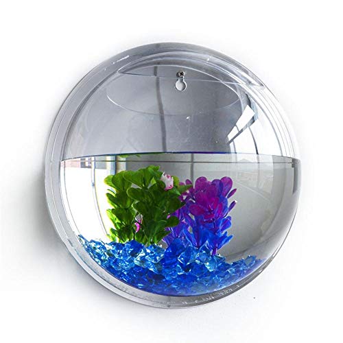 HUFFA Acrylique Fish Bowl Tenture Murale Aquarium Réservoir Aquatique Pet Fournitures Pot Plante Vase Monté Décoration de La Maison (Color : Clear, Size : 17cm)