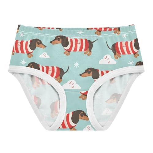 Wusikd Dachshund Dogs Girls' Underwear Cotton Red Girls Briefs Soft Toddler Underwear 2T
