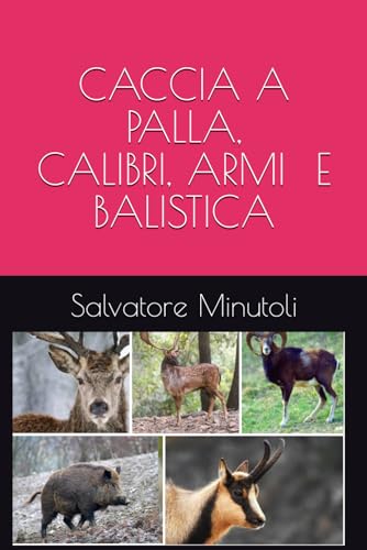 CACCIA A PALLA, CALIBRI, ARMI E BALISTICA
