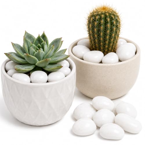 NUPICK 16lb White River Rocks for Plants Indoor, Pebbles for Landscaping