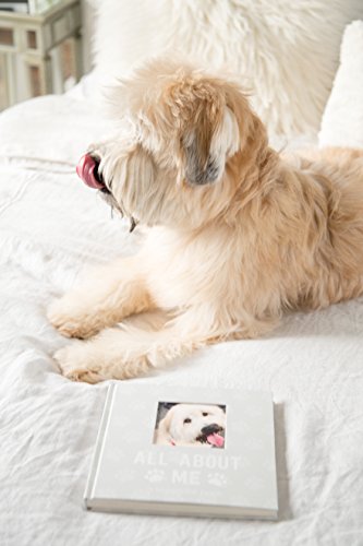 Pearhead Pet Milestone Keepsake, Paw Print Design, Dog Owner Gifts, Cherish Every Memory Of Your Pup, Perfect For Dog People Or New Puppy Pet Owners, 83029 #TOP2