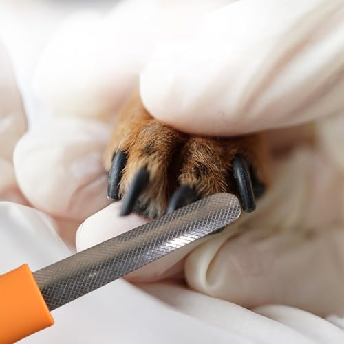 Djowyh Krallenfeile Für Hunde - Krallenpflege für Kleine & Große Hunde & Katzen | Katzen Krallenpfleger Leises Pflegegerät Zum Entfernen von Graten, Glätten Und Formen Aller Krallenarten Mit