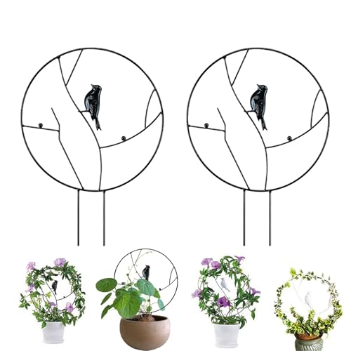 FADZECO 2{ IxXN  gsA[XebN ~jIxXN A̐A gX o gsA[ ΂ KN N}`X  K[fjO K[f 鐫A  | Aؔ x A A ԉ ؉p K[fgX