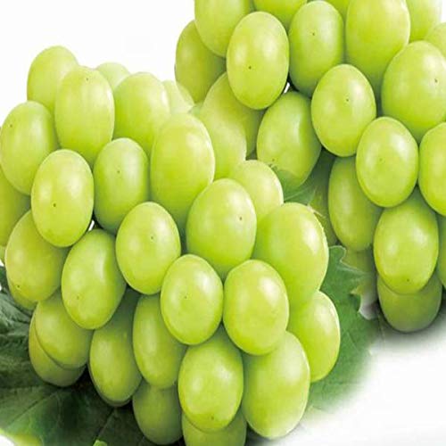 秀品 シャインマスカット 1~2房 大粒限定 約800g~1kg