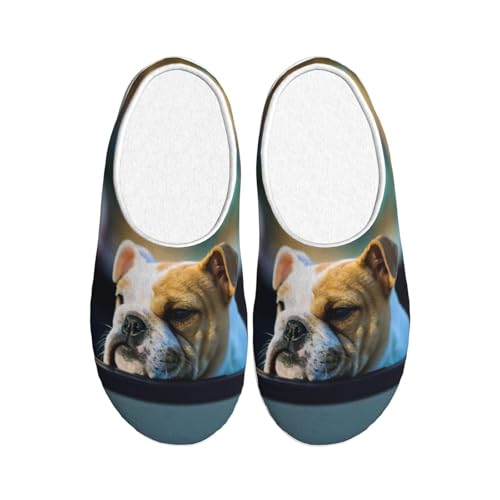Chaussons bouledogue EdWal d'hiver chauds et antidérapants taille 39