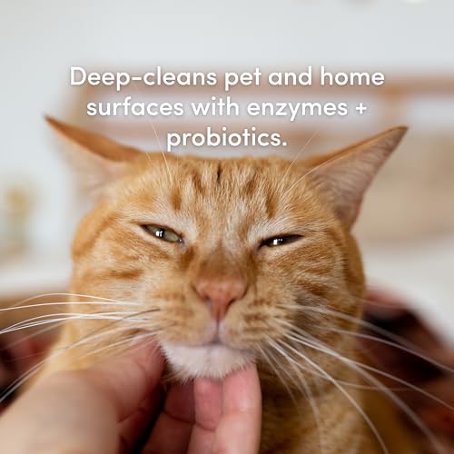 Image of Clean Revolution SuperCharged All Purpose Cleaner Refill with Smart Probiotic + Enzyme Complex, Multi-Surface Kitchen Bathroom & Floor Cleaner, Dreamy Citrus, 18 oz (Pack of 1)