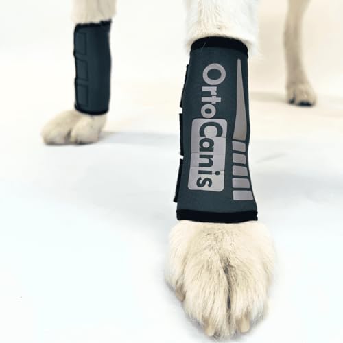 Ortocanis - Karpalgelenk-Bandage für Hund - Arthrose, Bänder- und Sehnenverletzungen oder Agility-Hunde - Hergestellt aus Neopren ARD - Größe L 17-19 cm