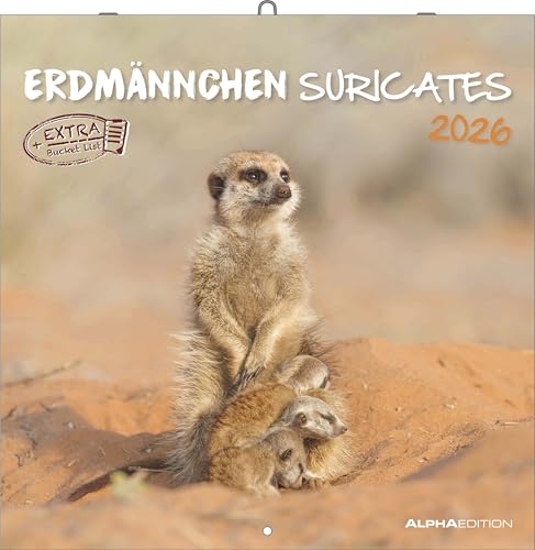 Alpha Edition - Erdmännchen Kalender 2026 – Wandkalender 30x30 cm – Für Tierfreunde & Erdmännchen-Fans – 12 bezaubernde Fotografien, viel Platz für Notizen, mit Feiertagen & Ferienterminen: Suricates