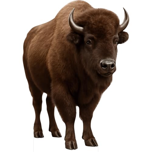 Image of Bison 4FT Life Size Cardboard Cutout, 1 PC, Animal Standup | Bison Cardboard Cutout Standup, 4FT Life Size, for Birthday Party, Event Decoration, Photos, Home Decor & Animal Theme