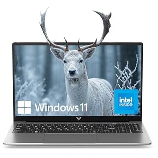 ACEMAGIC Ordinateur portable Intel N95 15,6" 8 Go DDR4 256 Go SSD Intel ordinateurs portables, ordinateurs portables Windows, ordinateurs portables ordinateur-portables-PC portables, pavé numérique Win-11 Pro WiFi 5 HDMI Type-C Webcam audio 3,5 mm