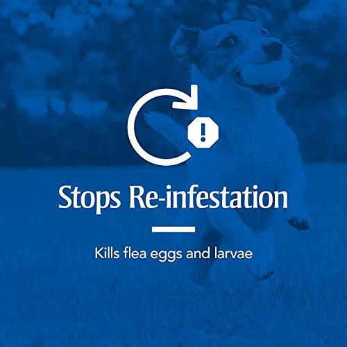 PetArmor Plus Flea and Tick Prevention for Dogs, Dog Flea and Tick Treatment, Waterproof Topical, Fast Acting, X-Large… - Image 5