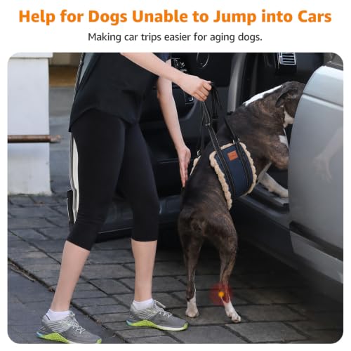 Image of LOOBANI Dog Lift Harness for Large Dogs Hind Leg Support for Weak Rear Legs