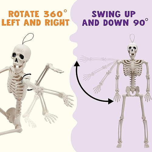 JOYIN 2PCS 16" Halloween Skeleton Decor, Full Body Stayable Movable Joints, Posable Hanging Skeletons for Halloween Decoration, Yard, Graveyard, Haunted House Props, Spooky Scene Party Favor