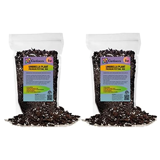 Best pot and soil for umbrella plant Gardenera Premium Potting Mix for Umbrella Plants