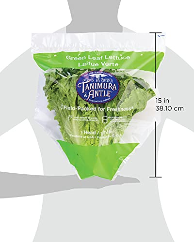 Green Leaf Lettuce, 1 Head