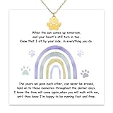Aelciyue - Regalos conmemorativos para perros, regalos conmemorativos para mujeres, amantes de los perros, Navidad, día de San Valentín, duelo, regalos de recuerdo por pérdida de perro, regalo de