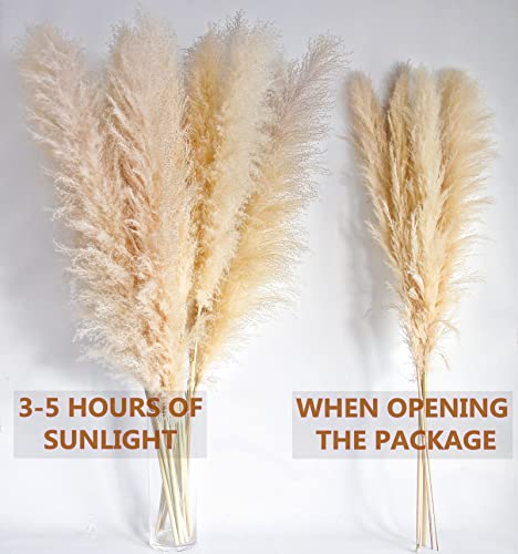 Image of 46 inch inch 10 Stems Natural Pampas Grass Decor Tall, Pompas Grass, Tall Pampas Grass for Weddingm, Farmhouse, Boho Home Decor (Ivory)