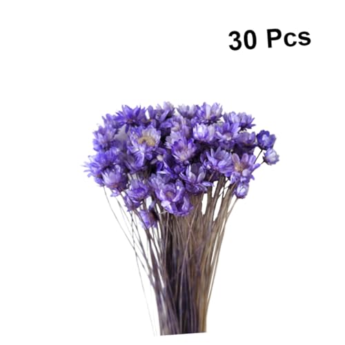 Daisy seca decoración 30 piezas para arreglo DIY miniatura 4