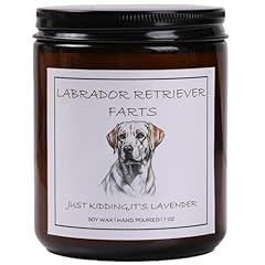 LABRADOR RETRIEVER FARTS