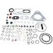 CAV DPA Injector Pump Repair Kit 7135-110 For Ford Massey Ferguson