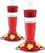 Hummingbird Feeders 16-Ounce Set of 2 - First Nature (3051-C) Bundled With SEWANTA Bird Feeder Chain
