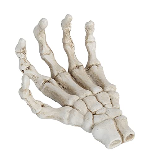 flexman Halloween Skeleton Hands, High Hardness Resin Lightweight Hand Bone Ornaments, Teaching Demonstration Tool, Home Decoration, Mobile Phone Holder