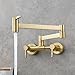Tecmolog Brushed Gold Kitchen Sink Pot Filler Faucet Wall Mount Brass Hot and Cold Mixer Tap for Kitchen, BJ21241