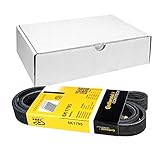 6PK1795 Keilrippenriemen Conti