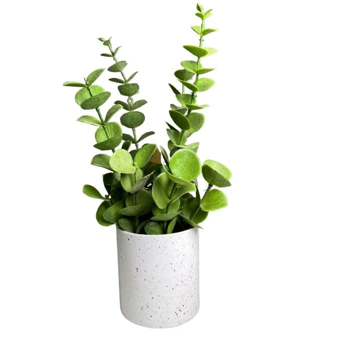 Artificial Plant | Small Faux Rubber Plant for Tabletop, Indoor Decoration | Potted Green Plant for Home, Bathroom, Office & Farmhouse Decor (1, TableTopPlant21)