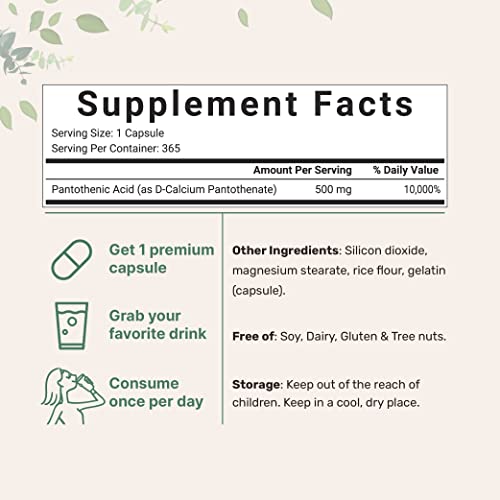 Micro Ingredients Pantothenic Acid Vitamin B5 Supplement, Vitamin B5 500Mg Per Count, 365 Capsules (1 Year Supply), B-Complex Vitamin, Support Energy Production And Nervous System, Non-Gmo #TOP1