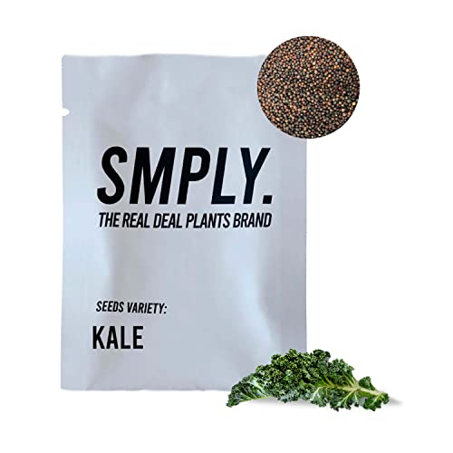 SMPLY. - Semillas de Col Kale - Válidas para Cultivo en Exterior e Interior - Ideales para Huertos Urbanos, Huertas, Terrazas o Jardines - Hortaliza Fácil de Cultivar