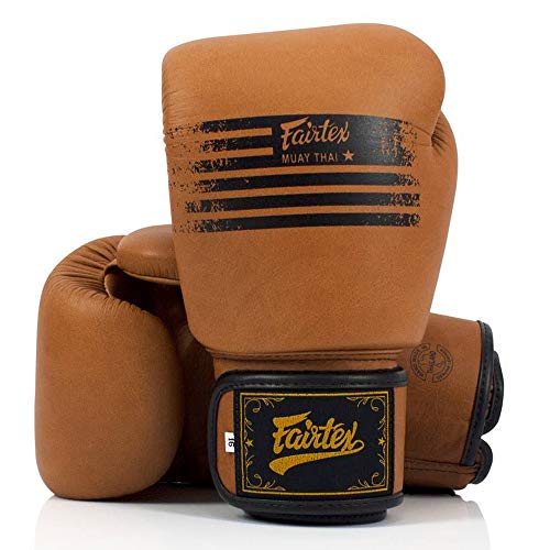 Fairtex Muay Thai Boxing Gloves BGV21 Legacy MMA UFC K1 Kick Boxing Training Gloves (16 oz)