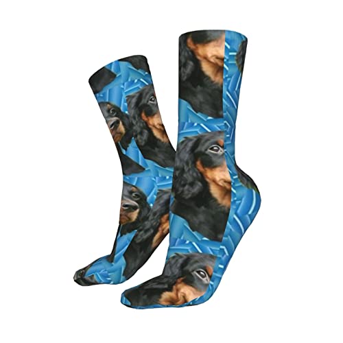❤Materiale calzini morbidi: 95% poliestere + 5% spandex, spessore medio con suola imbottita per un comfort extra.