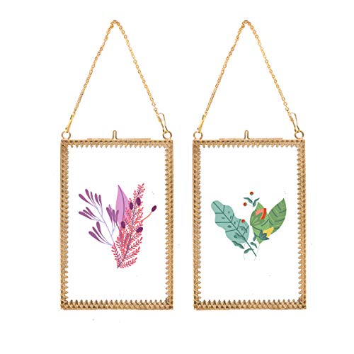 Longwin 2Pcs 4X6 Gold Glass Frame For Pressed Flowers Plants Wall Hanging Rectangle Brass Floating Picture Frames With Chain For Artwork Display Dried Leaf Herbarium Specimen Clip, Glass Frames Only #TOP17