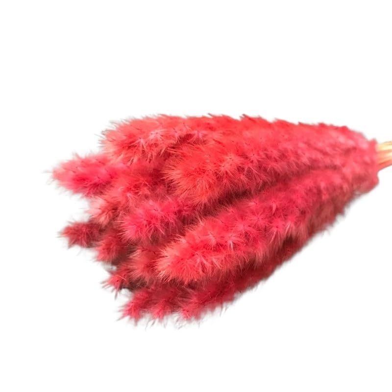 Pampas Grass Boho Decor, paquete de 15 flores secas multicolor