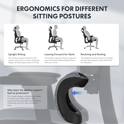 FLEXISPOT ErgoX Ergonomic Office Chair Executive Mesh Desk Chair Swivel WIth Height Adjustable Seat Headrest Armrest and Independent Lumbar Support Task Chair