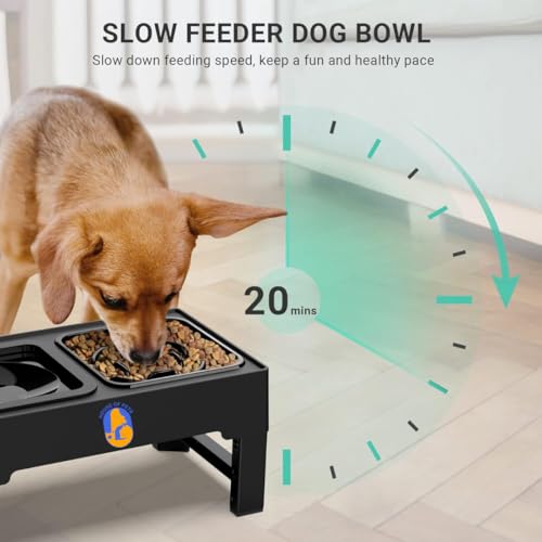 Image of Adjustable Elevated Dog Bowls, 4-Height Stand (3.4 inch-11.3 inch) for Small, Medium & Large Dogs, (Slow Feeder Bowl) No-Spill Water Bowls, Reduces Neck & Joint Strain
