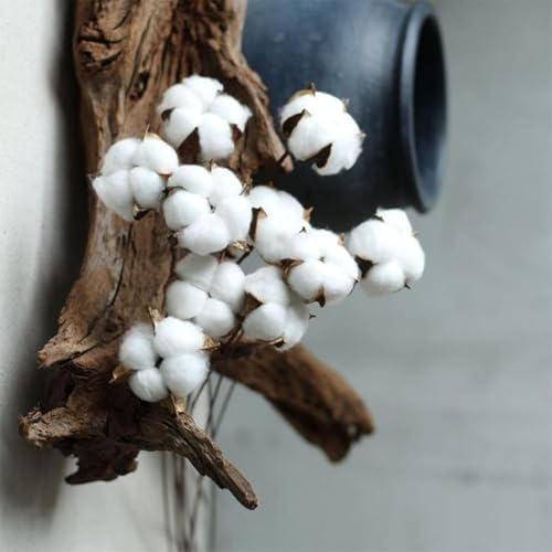Ramas naturales secas de 37.5 cm para decoración 5 piezas miniatura 3