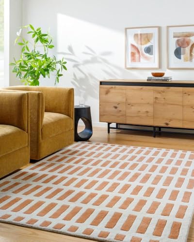 Jason Capitola Handmade Tufted Wool Area Rug, Modern Design, Living Room Bedroom Dining Room (Orange, 4 X 6 FT)