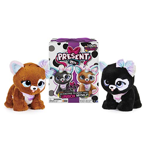 PRESENT PETS u0096 PELUCHE INTERACTIVE RAINBOW GLITTER u0096 Peluche Chien Surprise à Découvrir avec Modèle Aléatoire u0096 Chien Interactif avec Effets Sonores et Mouvements u0096 6059159 u0096 Jouet Enfant 5 Ans et +