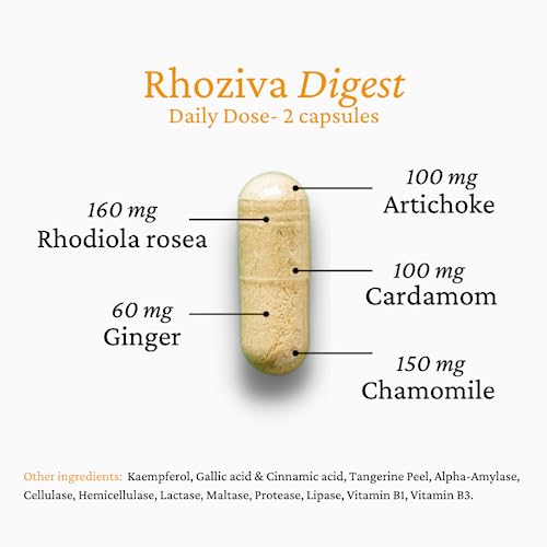 Rhoziva Digest. Gut Health Supplement with Digestive Enzymes for Women and Men. Supports Healthy Digestion, Reflux, Bloating. 60 Capsules. - Image 4